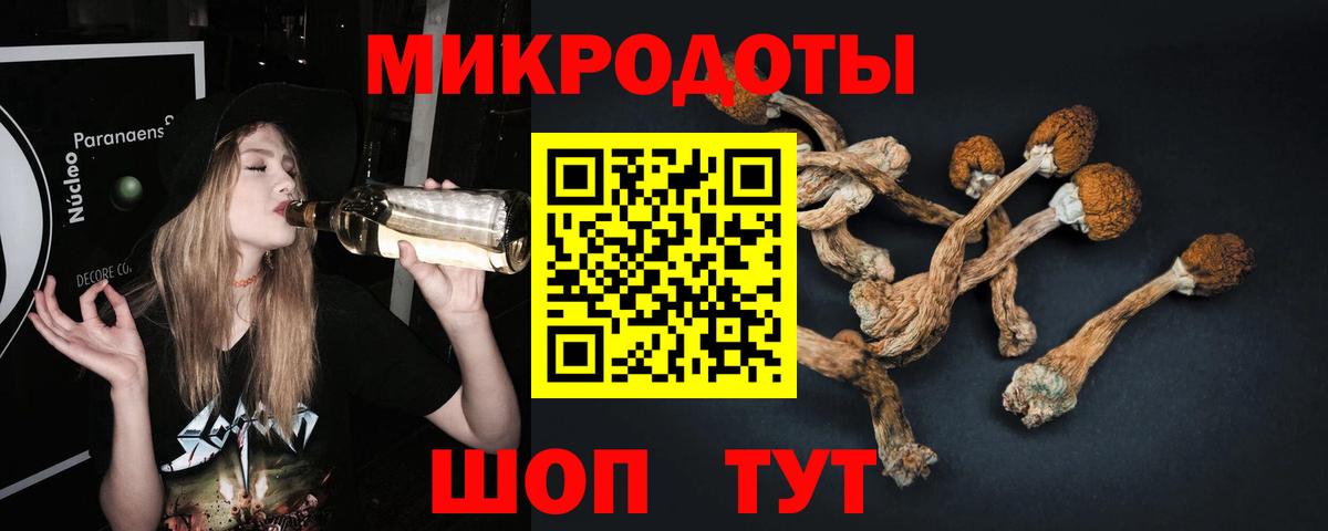 Сибай  наркошоп  Вход с VPN  Псилоцибиновые грибы прущие грибы  Псилоцибиновые грибы прущие грибы 